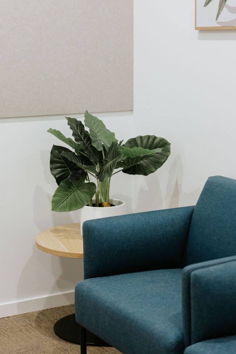 Leafy indoor plant beside framed botanical artwork and an armchair in a styled space at the Care to Change Morayfield Hub